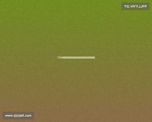 CBA外文解说助力中国篮球国际化提升，全球球迷体验全新视角