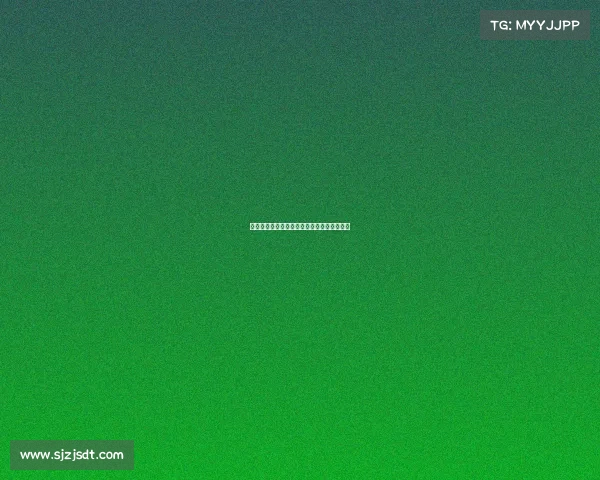 足球俱乐部转会规划方案分析与实施策略研究